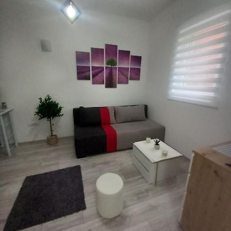 Apartment Capital Town נובי סאד מראה חיצוני תמונה
